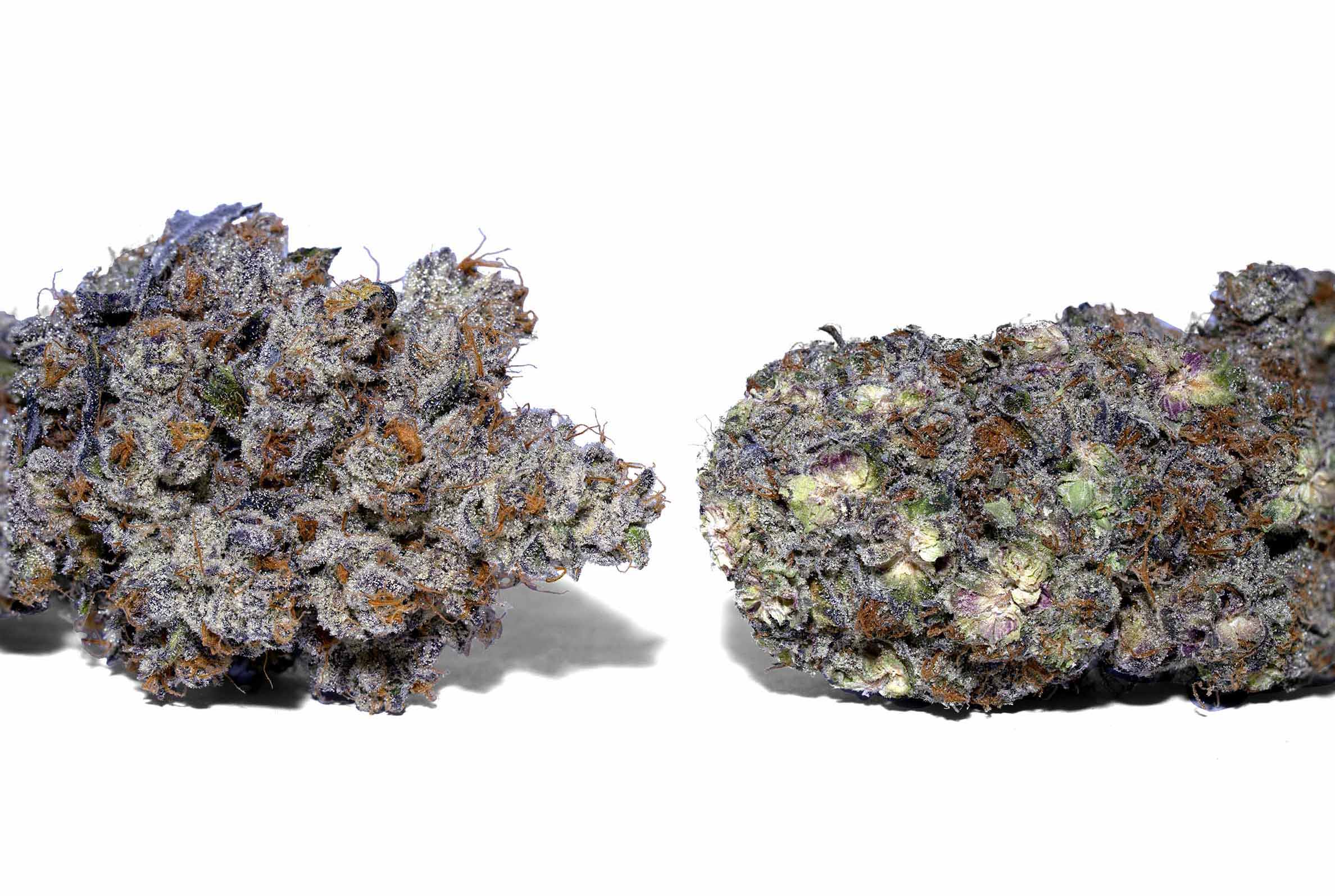 Hand-trimmed vs machine-trimmed cannabis comparison